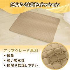 【全国発送可】犬 猫用洗えるペットシーツ ペット用マット L(100×70cm) 2枚セット　業者歓迎　転売OK　　倒産品　まとめ売り　ネット商材　アマゾン引き上げ商品　メルカリ　副業の画像
