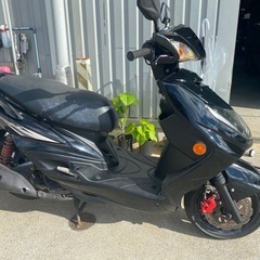 売車/交換　シグナスX SE44J の画像