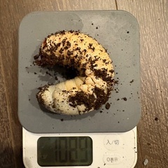 引っ越しにつきヘラクレスオオカブトの3齢幼虫譲ります④の画像