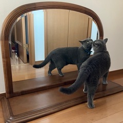 鏡　タンス上置き　大きめの画像