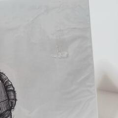  Patrick Veggie 受注生産限定盤　CD/Blu-ray 未開封 の画像