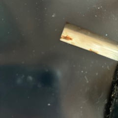 体重計の画像