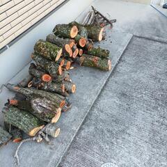 焚き木の画像
