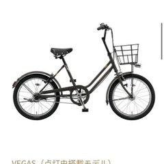 ブリヂストン　グリーンレーベルベガス　カーキの画像