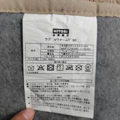(お話中)ラグと長めのマットの画像