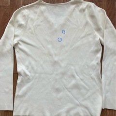 レディース　セーターＤ(シミあります)の画像