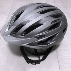 大きいサイズの自転車ヘルメット 58～63㎝ ALPINA(アルピナ)の画像