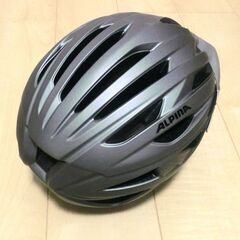 大きいサイズの自転車ヘルメット 58～63㎝ ALPINA(アルピナ)の画像