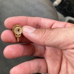 ピヤスの画像