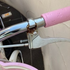 自転車　女の子　ブリヂストンの画像