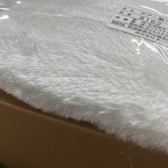 H2508-717 オーロラボアー敷パット2P 未使用の画像