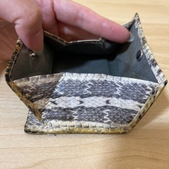 ヘビ革　コインケースの画像