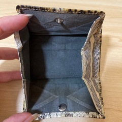 ヘビ革　コインケースの画像