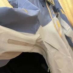 Arc'teryx Alpha SV Year of the Snake GTXの画像