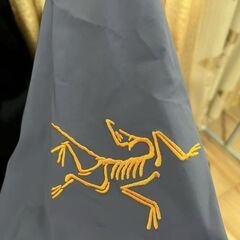Arc'teryx Alpha SV Year of the Snake GTXの画像