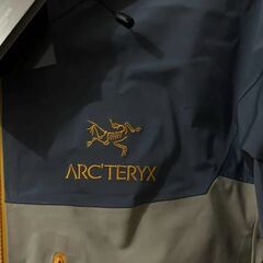 Arc'teryx Alpha SV Year of the Snake GTXの画像