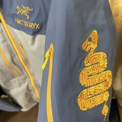 Arc'teryx Alpha SV Year of the Snake GTXの画像