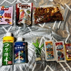 水槽　アクアリウム　一式セットの画像