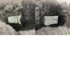 186000 現状品 UGG アグ 24cm BAILEY BUTTON ベイリー　ボタンレザー 24 グレー レディース [1000025359014]の画像