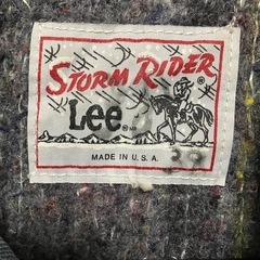 LEE101LJストームライダーの画像