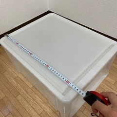 収納ケース 奥行45cmの画像
