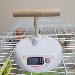 イージーホーム バード 37-GR 手乗り （ペット用品・鳥）の画像