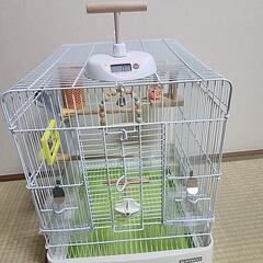 イージーホーム バード 37-GR 手乗り （ペット用品・鳥）の画像