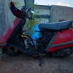 スペイシー80の画像