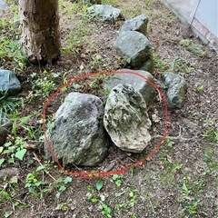 庭石。花壇作りにいかがですか？の画像