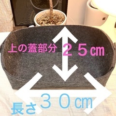 カゴ　フェルトの小物入れの画像