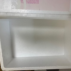 発砲スチロールの箱の画像