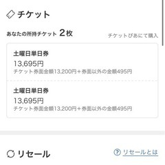 9/6 単日　福井県　ワンパークフェスティバル　チケット2枚(バラ売りも可 )椎名林檎の画像