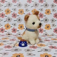 羊毛フェルト 　首傾げてお腹すいた　まだぁ　プチわんちゃんの画像
