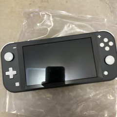 美品　ニンテンドースイッチライトの画像