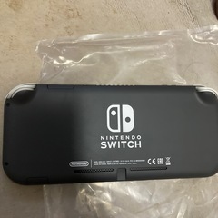 美品　ニンテンドースイッチライトの画像