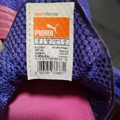 PUMAラン＆トレシューズ24㌢の画像