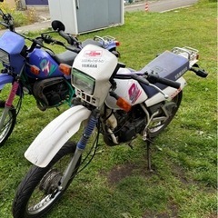 YAMAHA DT50の画像