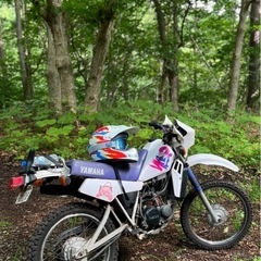 YAMAHA DT50の画像