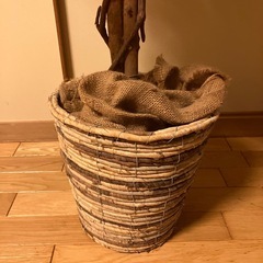 フェイクグリーンの画像