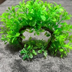 人工水草3種類の画像