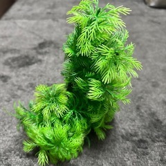人工水草3種類の画像