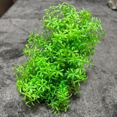 人工水草3種類の画像