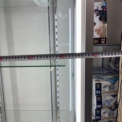 ショーケースの画像