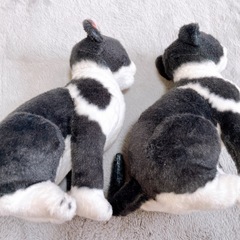 猫 ぬいぐるみ 2体 約30cmの画像