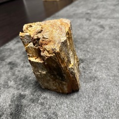 流木の画像