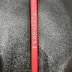 SCOTTY CAMERON ハリウッドの画像