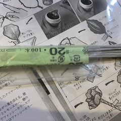 アメリカンフラワーの画像