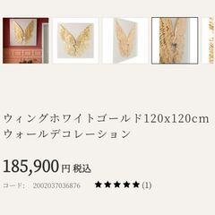 KARE カレ アート ファブリック 絵画 フェザー 羽 ウィングホワイトゴールド 120の画像