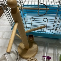 小鳥 飼育セット  文鳥 インコ 十姉妹の画像