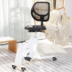 【美品】FlexiSpot フィットネスバイク Sit2Goの画像